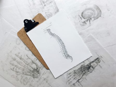 chiropraxie